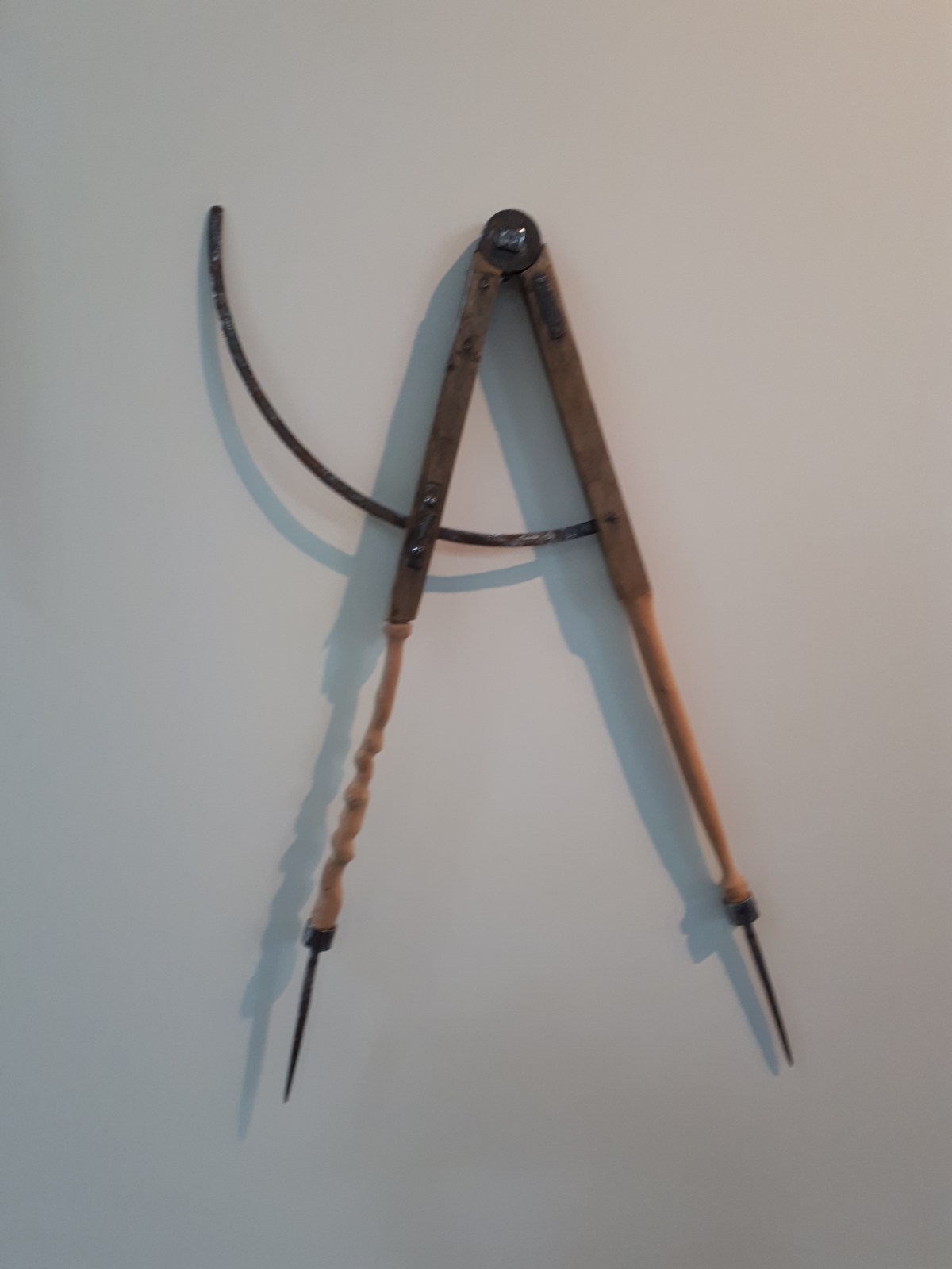 "Trabalho" by Alfonso Tostes @ "Nous les arbres", Fondation Cartier, Paris