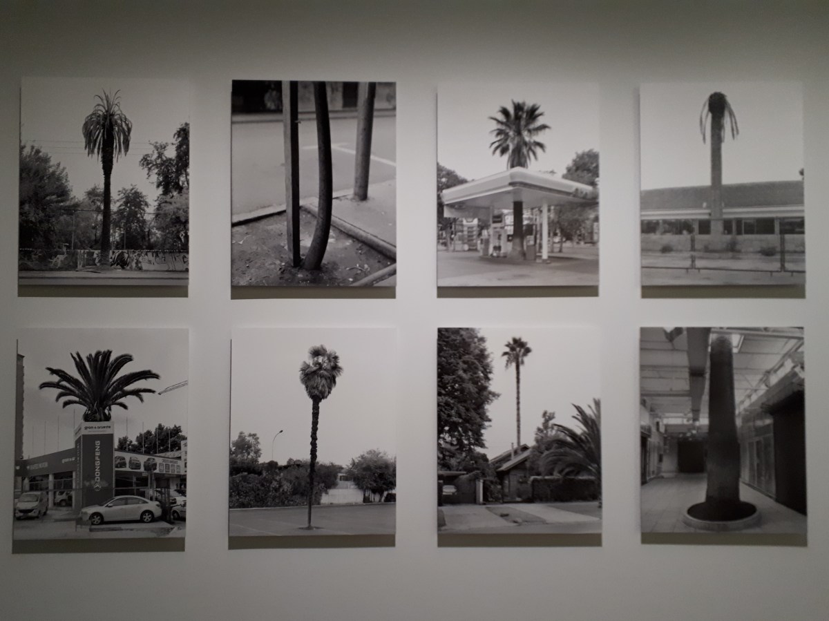"Nous les arbres", Fondation Cartier, Paris
