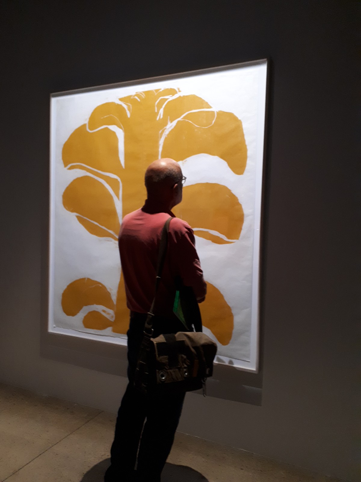 "Nous les arbres", Fondation Cartier, Paris