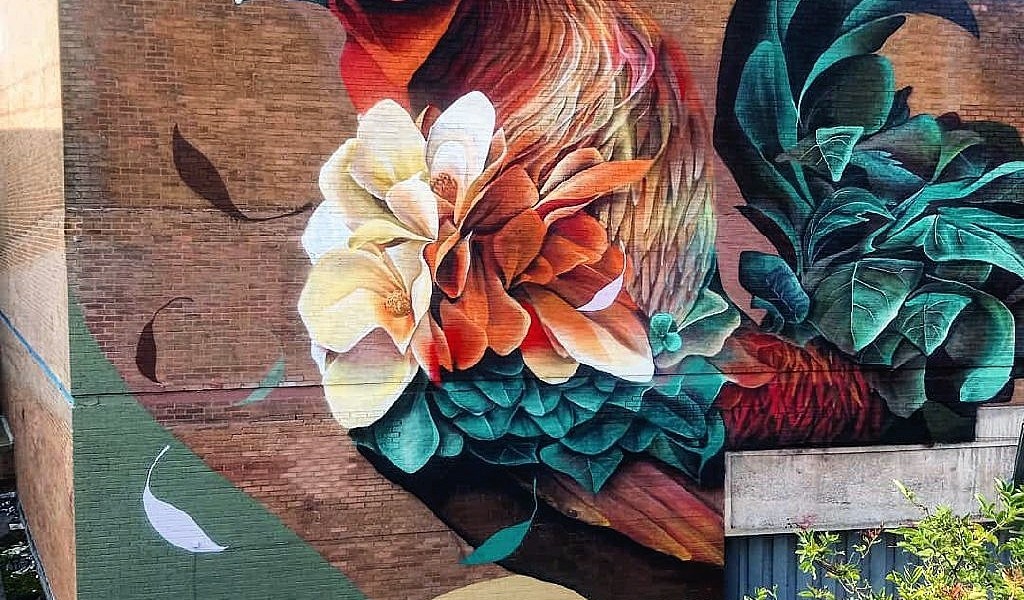 Curtis Hylton @ Rochdale, UK