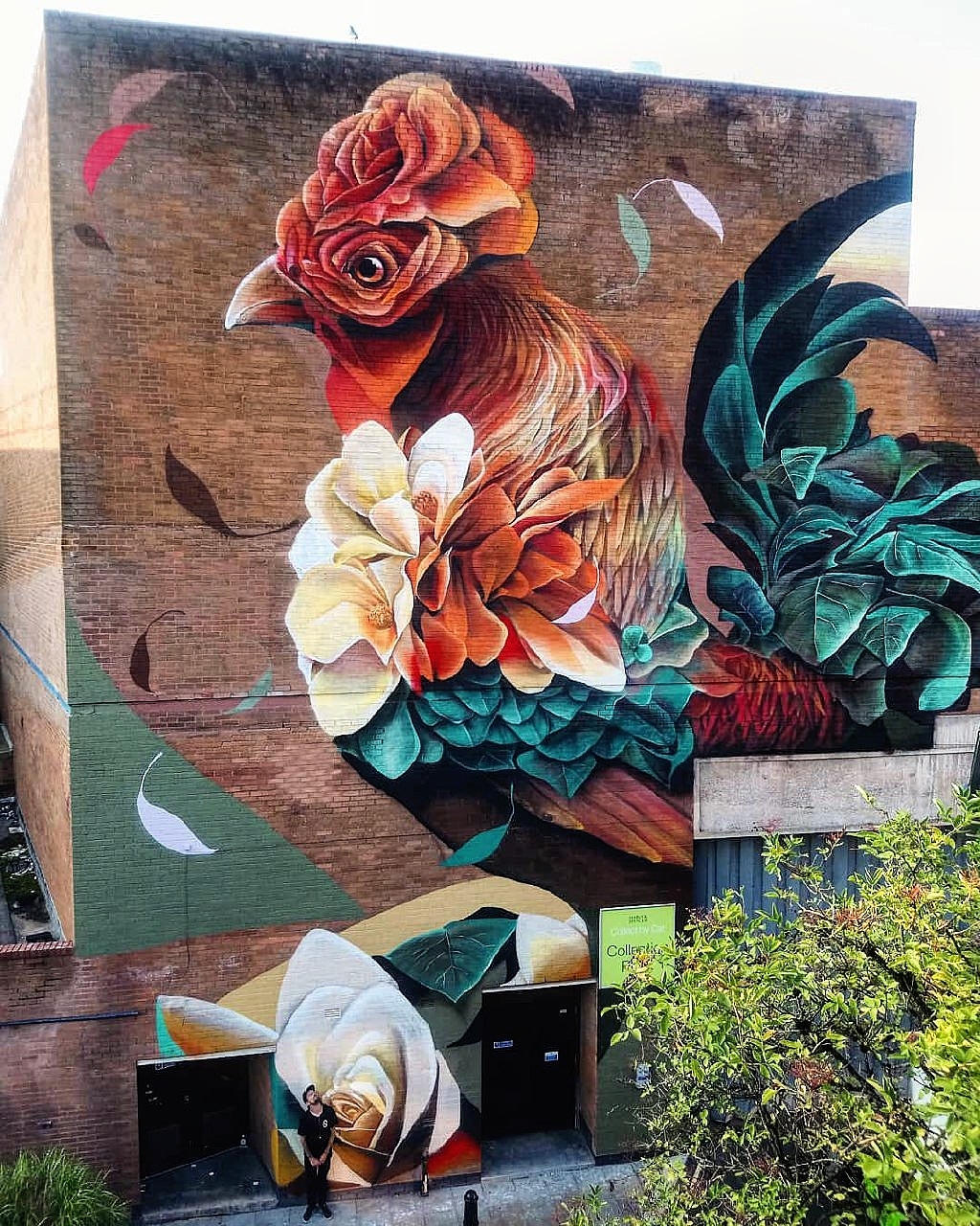 Curtis Hylton @ Rochdale, UK