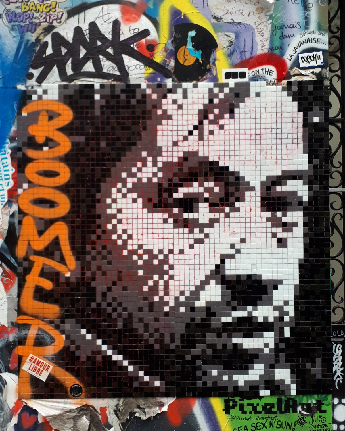 Street art @Rue de Verneuil, Paris