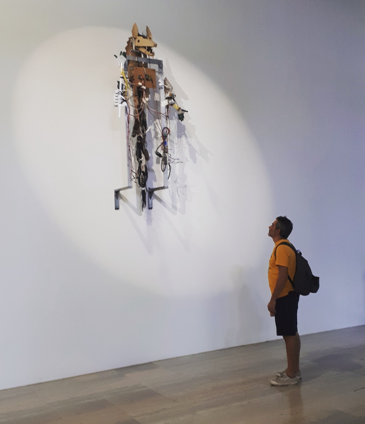 "Coyote Inalienable" by Fernando Palma Rodriguez @ Prince·sse·s des villes @ Palais de Tokyo