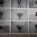 Prince·sse·s des villes @ Palais de Tokyo