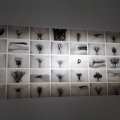 Prince·sse·s des villes @ Palais de Tokyo