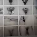 Prince·sse·s des villes @ Palais de Tokyo
