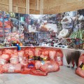 Prince·sse·s des villes @ Palais de Tokyo