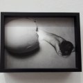 Prince·sse·s des villes @ Palais de Tokyo