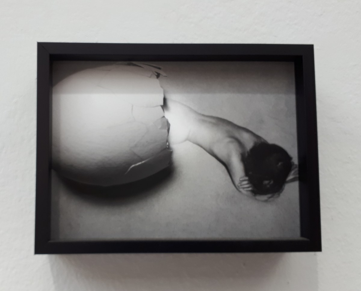 Prince·sse·s des villes @ Palais de Tokyo