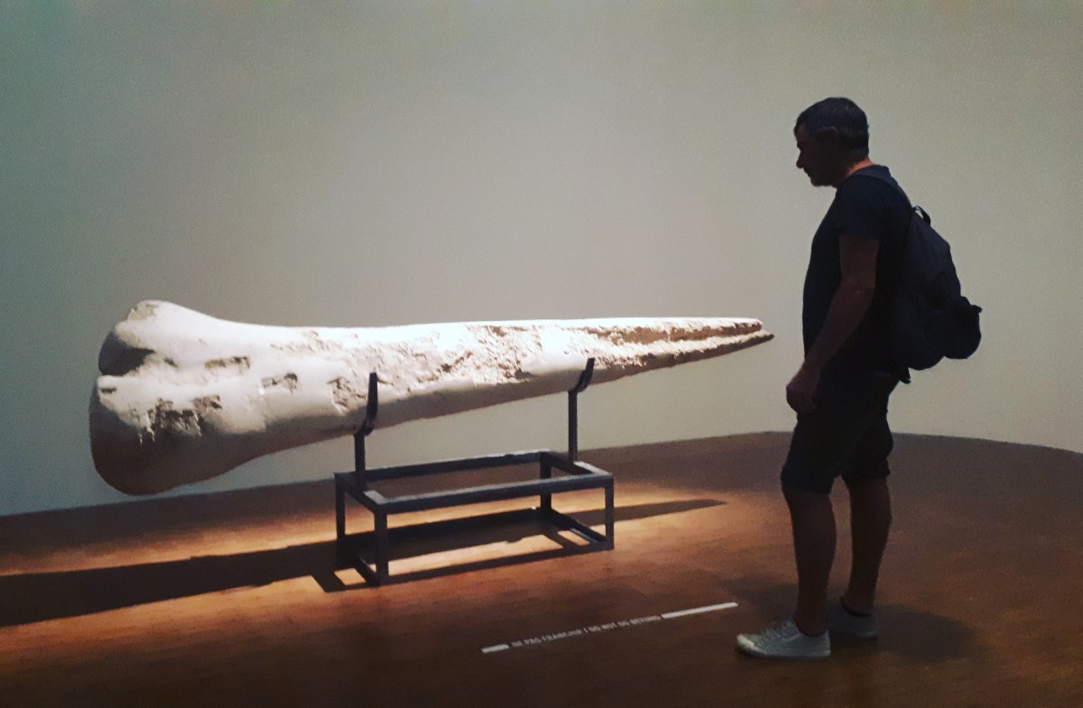 "Prehistoire. Une enigme moderne"