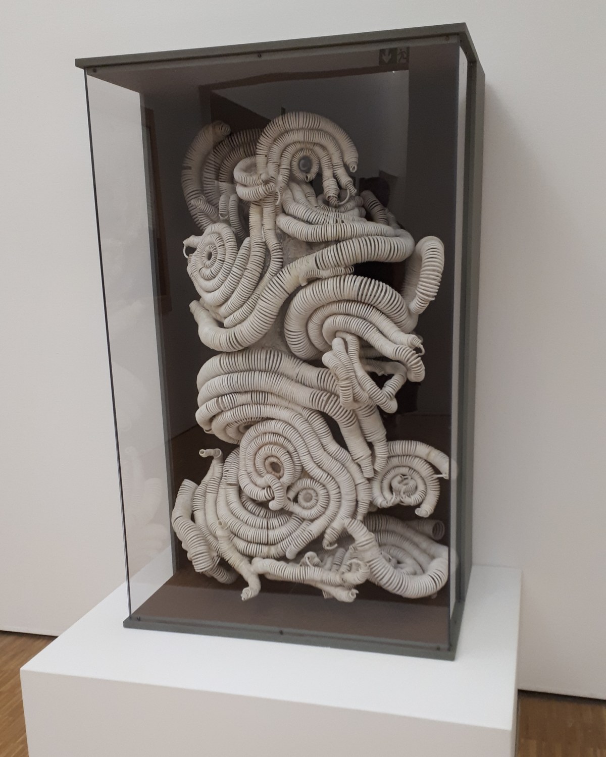 Bernard Requichot @ Collezione permanente