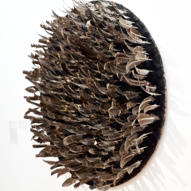 Pino Pascali @ Collezione permanente