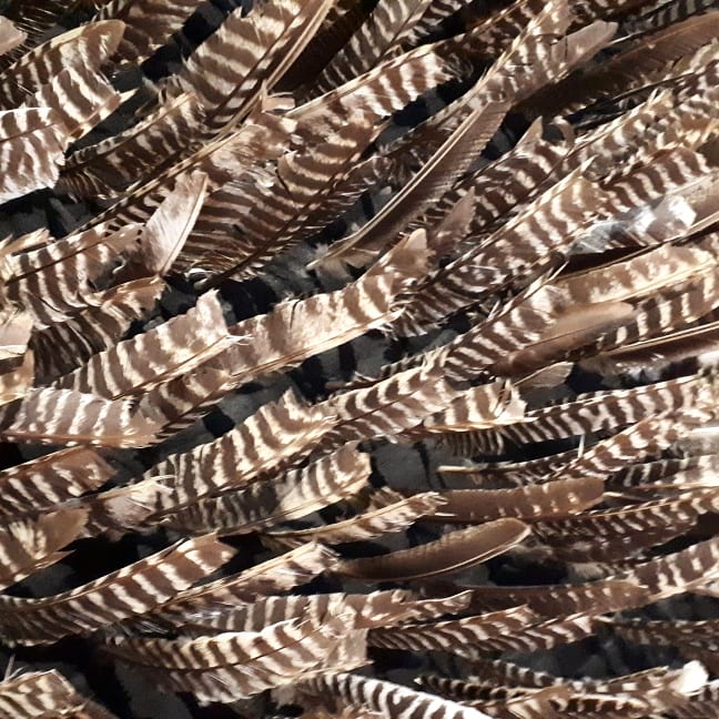 Pino Pascali @ Collezione permanente