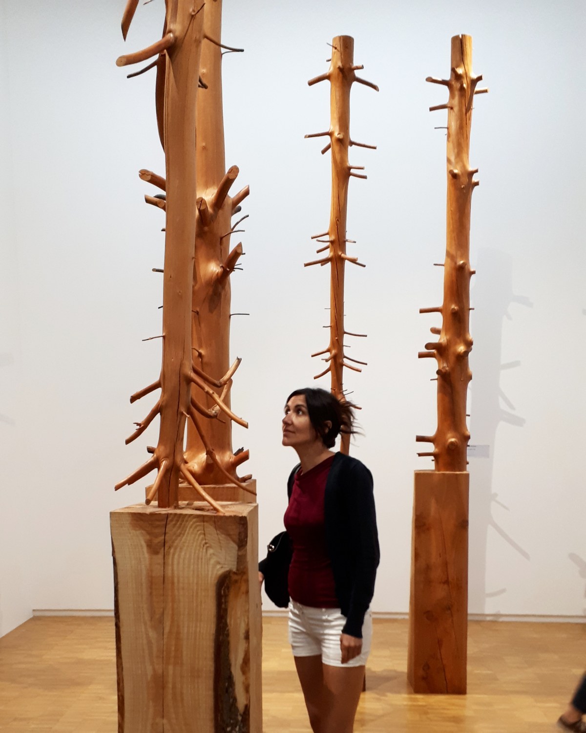 Giuseppe Penone @ Collezione permanente