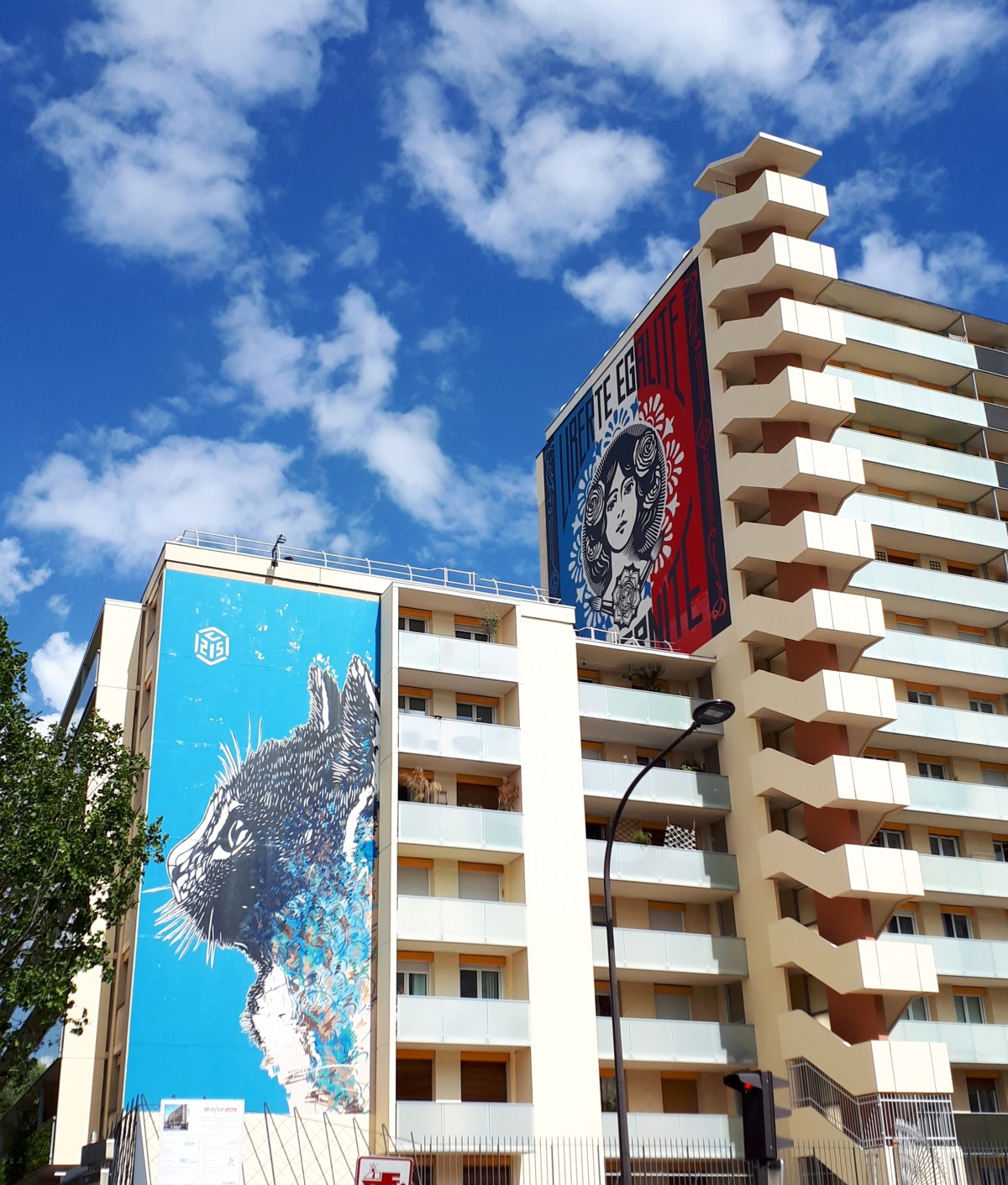 Street art by C215 (sx) e Obey Giant (dx)