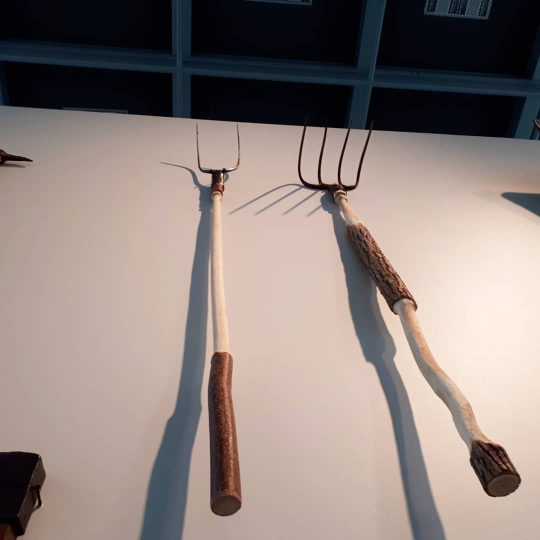 "Trabalho" by Alfonso Tostes @ "Nous les arbres", Fondation Cartier, Paris