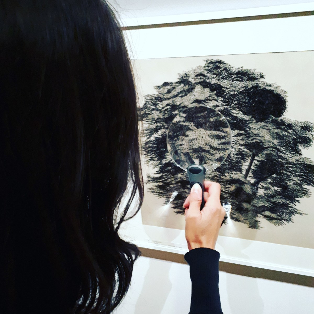 "Nous les arbres", Fondation Cartier, Paris