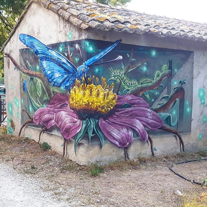 Sock wildsketch @Villeneuve les Avignon, France