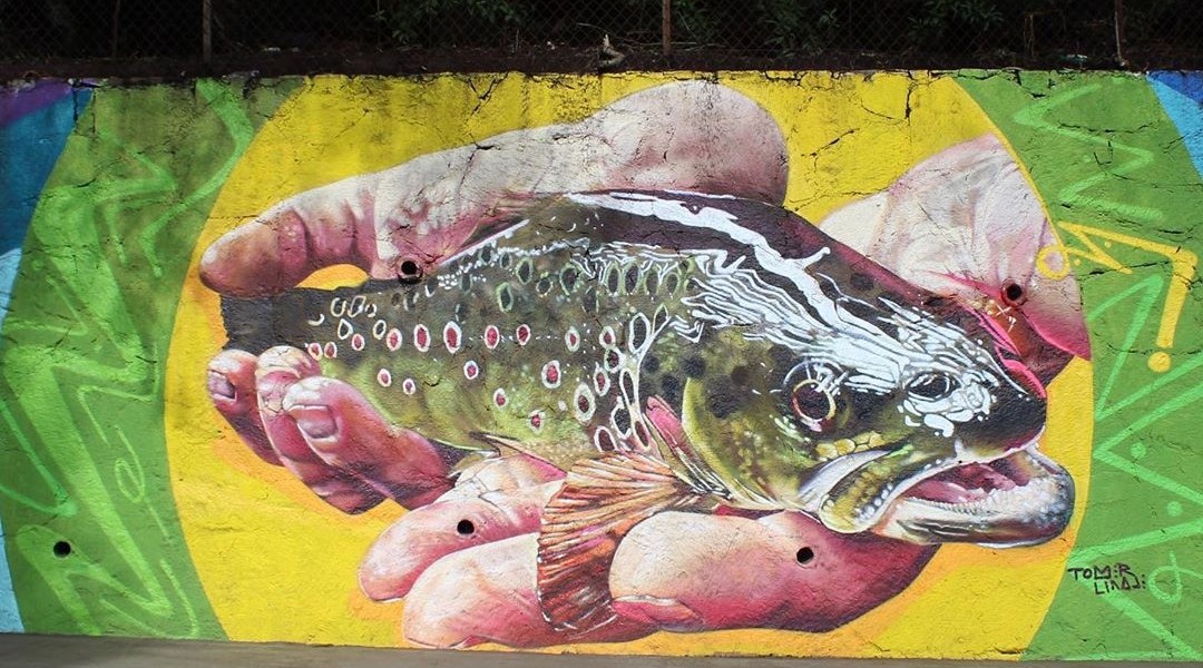 Tomer Linaje @ Jilotzingo, Mexico