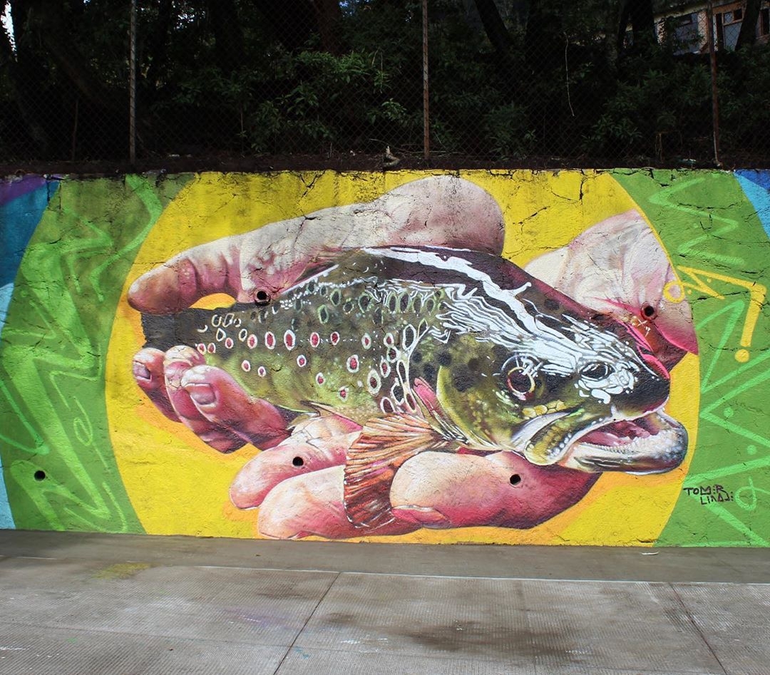 Tomer Linaje @ Jilotzingo, Mexico Tomer Linaje @ Jilotzingo, Mexico