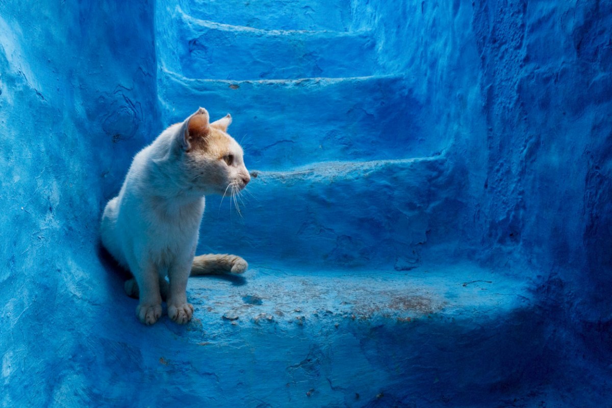 Chechaouen by Tiago e Tania