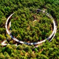 “Cycling Through the Trees” @ Limburgo, Belgio