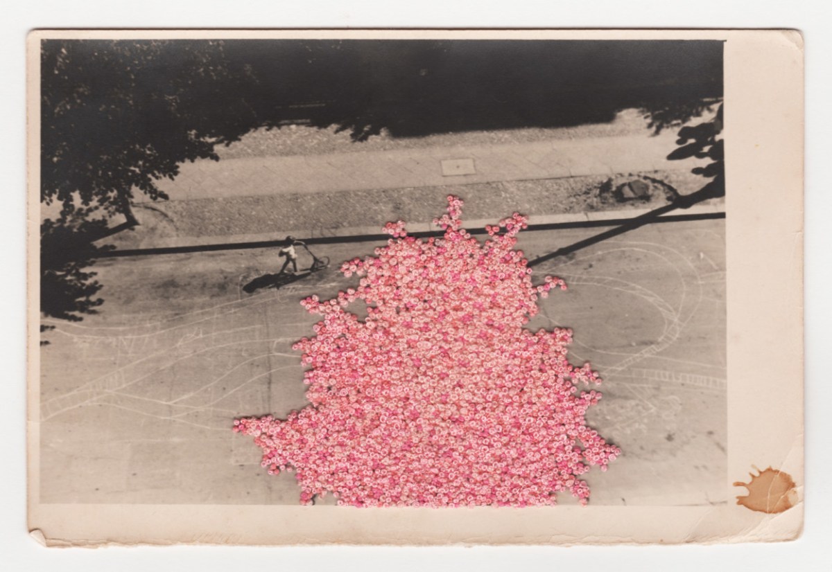 Francesca Colussi Cramer