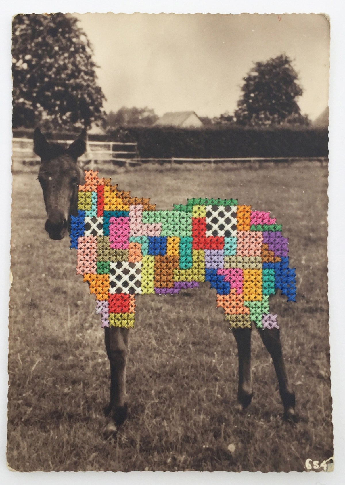 Francesca Colussi Cramer