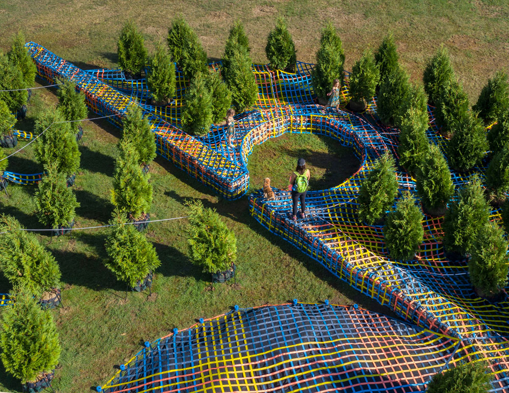 "Into the Hedge" by SO-IL