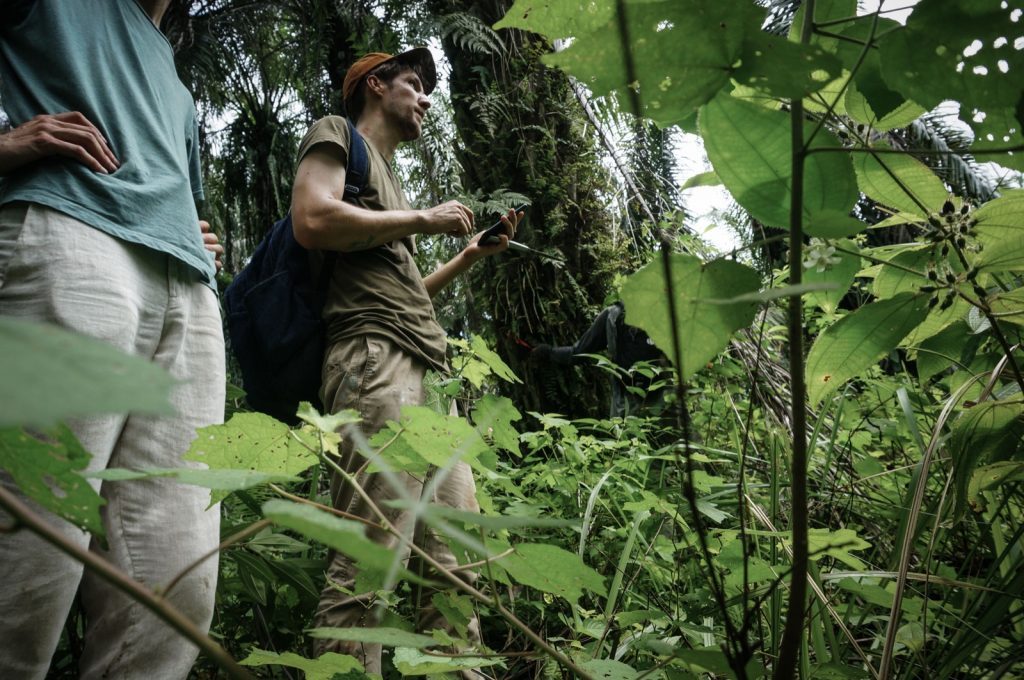 "REWILD" by Escif @ Sumatra, Indonesia