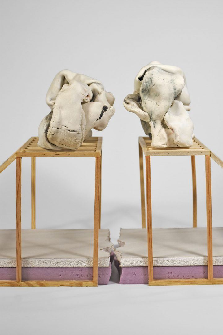 Sara Allen Prigodich