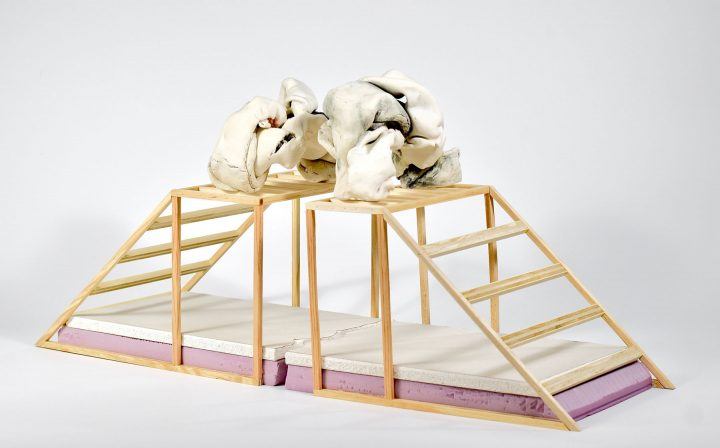 Sara Allen Prigodich