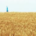 Agnes Denes’s Wheatfield—A Confrontation involved the artist planting and harvesting two acres of wheat on the Battery Park landfill in Manhattan during the summer of 1982Commissioned by Public Art Fund. Courtesy the artist and Leslie Tonkonow Artworks + Projects