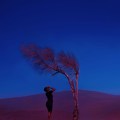 Fares Micue