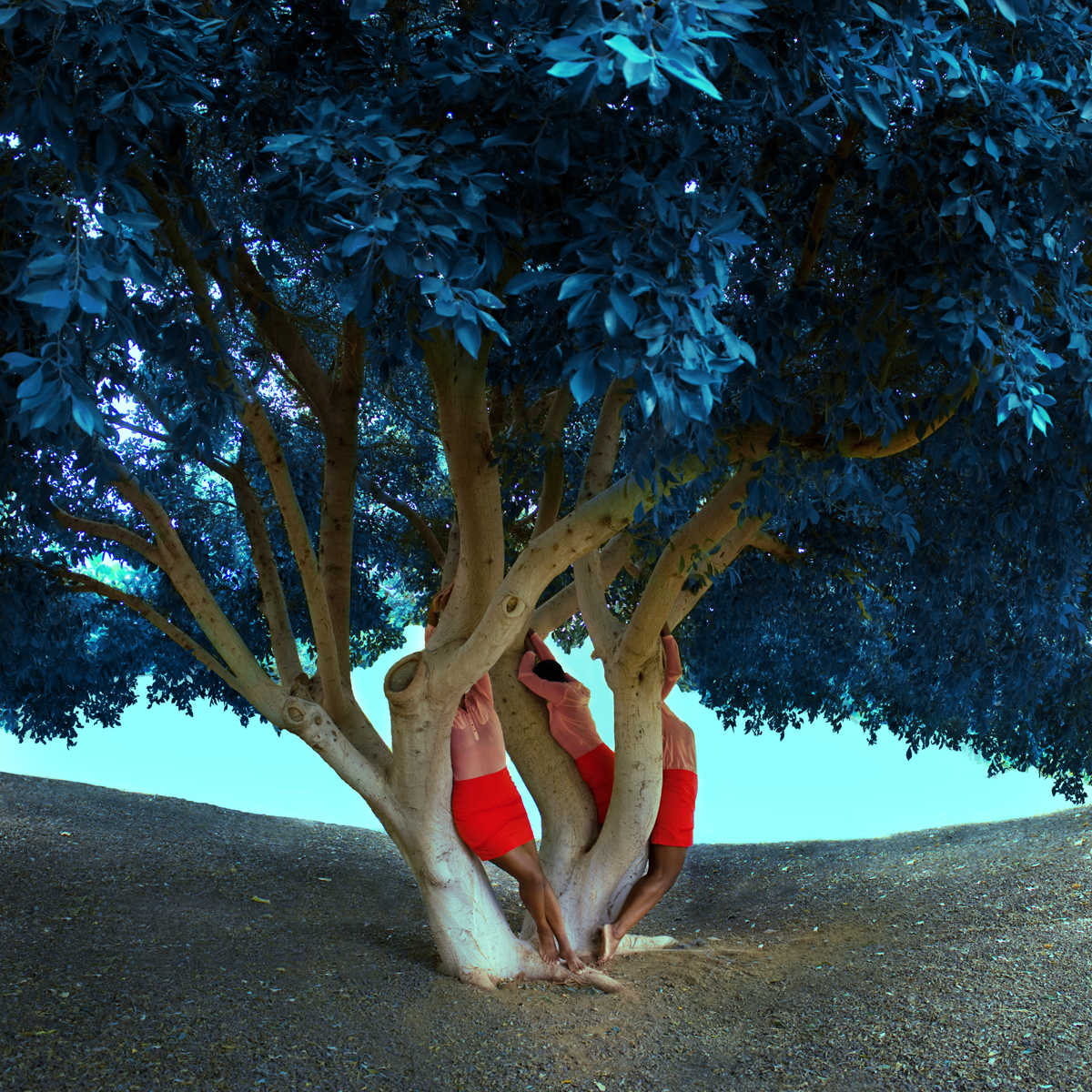 Fares Micue