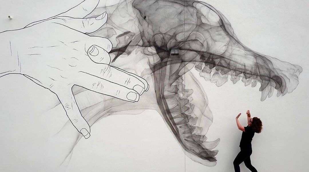 Shok_1 @ Saint Petersburg, USA