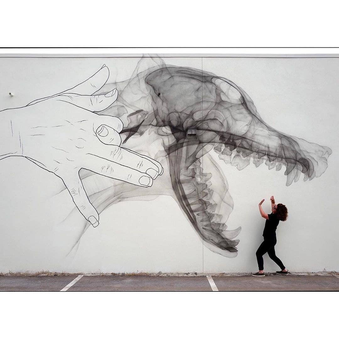 Shok_1 @ Saint Petersburg, USA