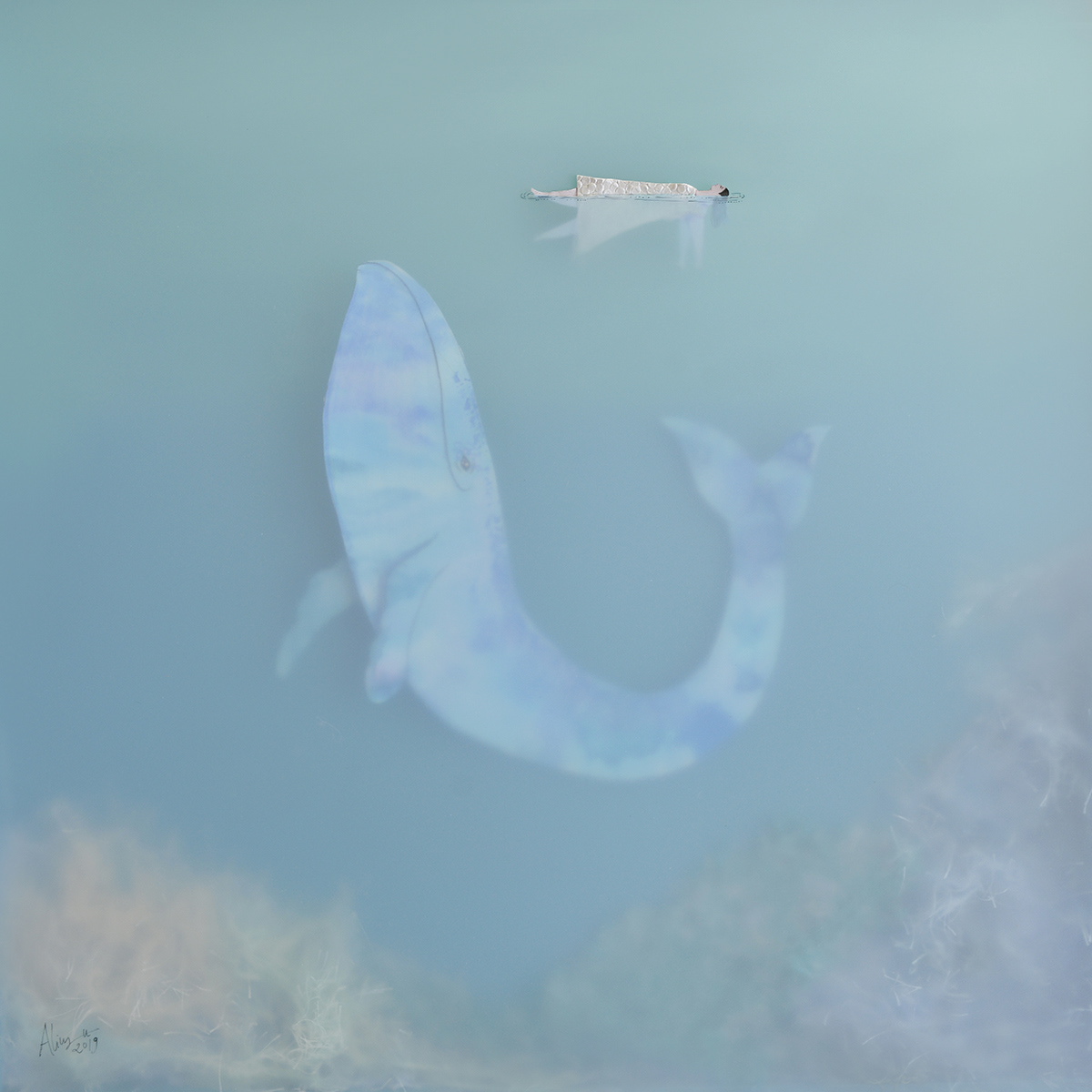 “What I learnt from whales” serie by Sonia Alins