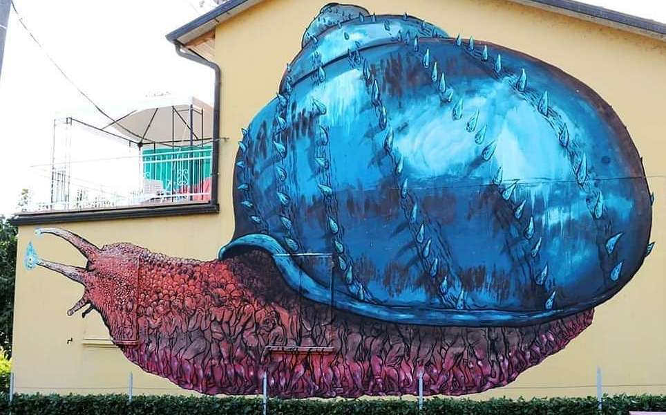 Bastardilla @ Pian Di Venola, Italy