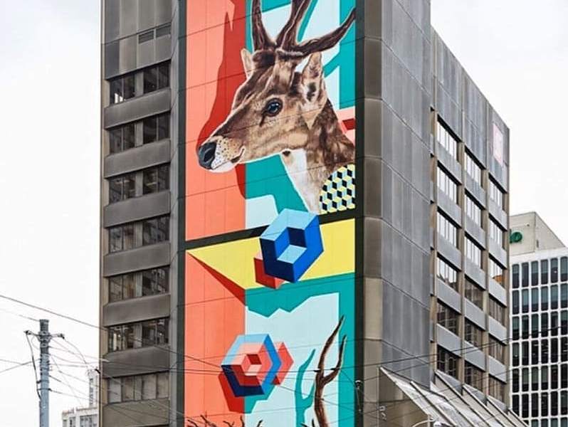 BirdO @ Toronto, Canada