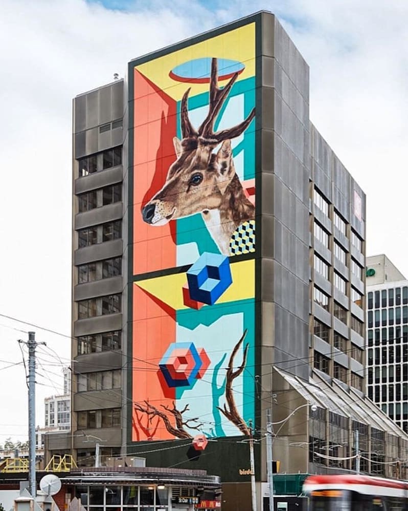 BirdO @ Toronto, Canada