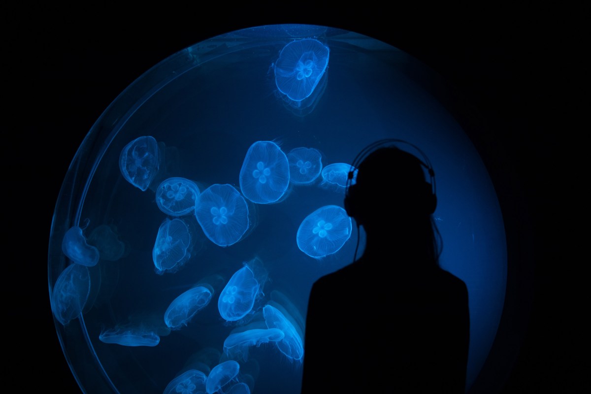 Eco-Visionaries @ Royal Academy of Arts, Londra