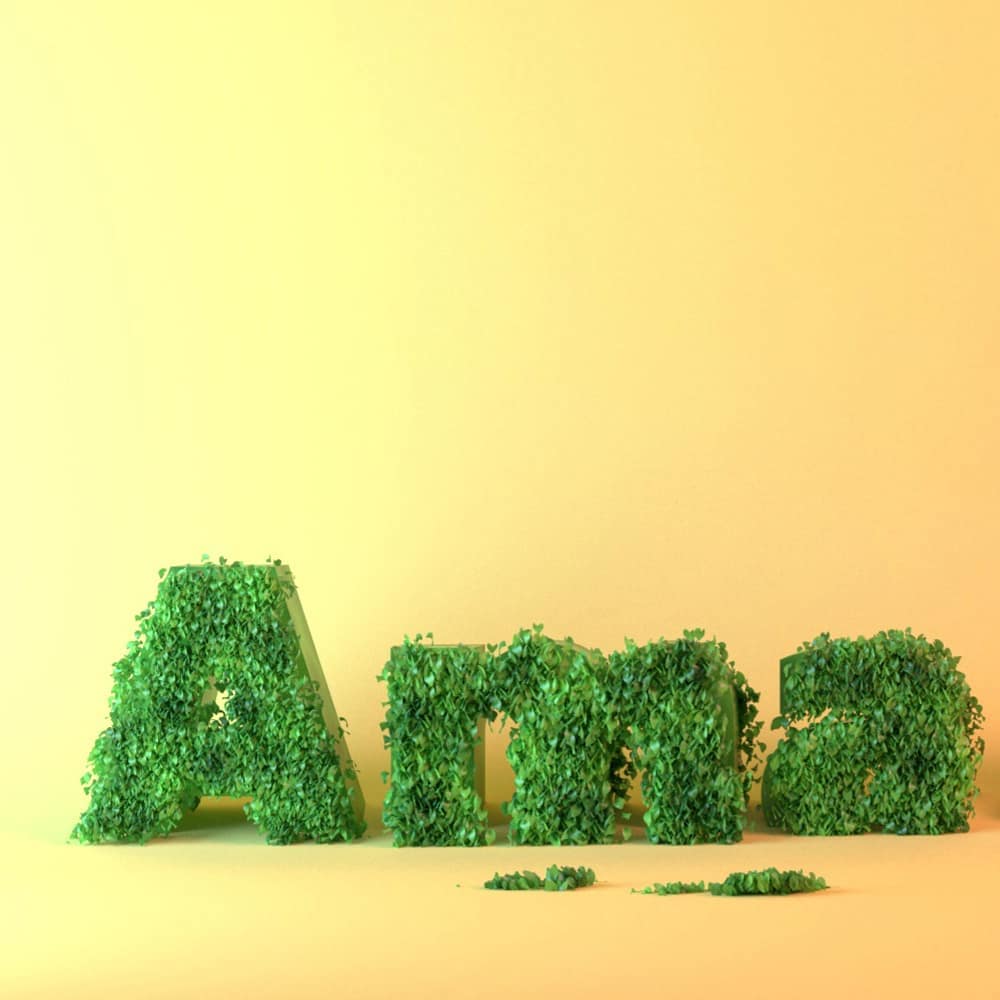 Amazon Forest by Farid Ghanbari