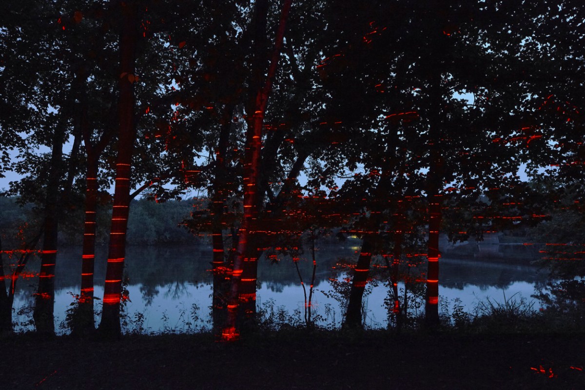 "Geometries of Light" by Luftwerk, Iker Gil e Oriol Tarragó @ Farnsworth House