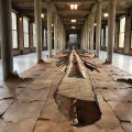 “Matrice di linfa (Matrix of Lymph)” (2008) by Giuseppe Penone @ Palais d’Iéna, Paris, for FIAC 2019
