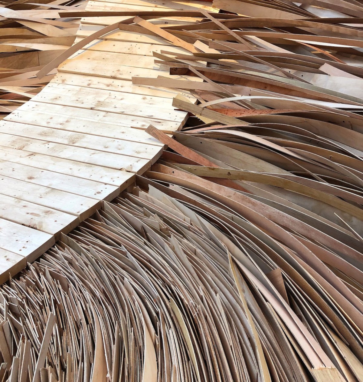 "Hubris Atë Nemesis" by Wade Kavanaugh & Stephen B. Nguyen