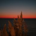 Israel by Arnaud Freitas