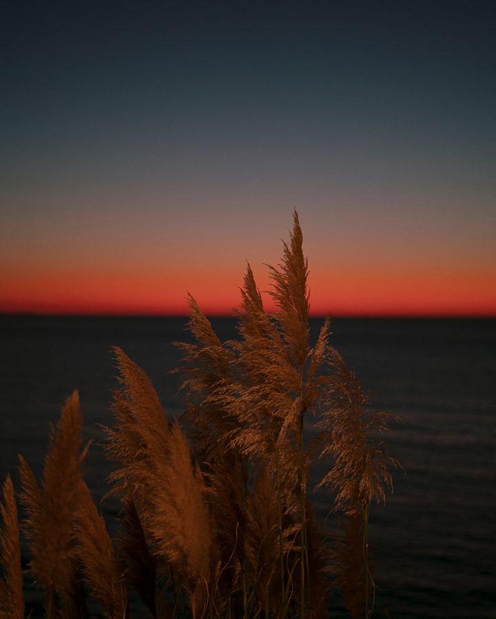 Israel by Arnaud Freitas