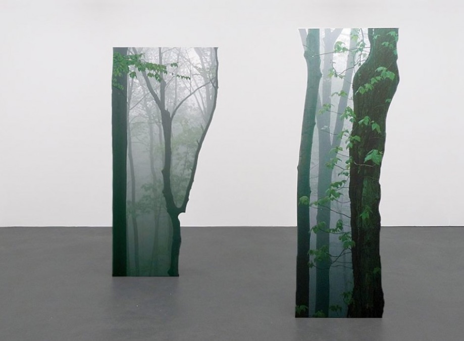 "Green growth" (2014) by Katja Novitskova