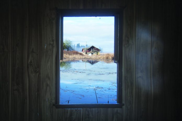 Kyle Thompson, Untitled, Oregon (2019), stampa Fine Art su dibond, 60 x 90 cm